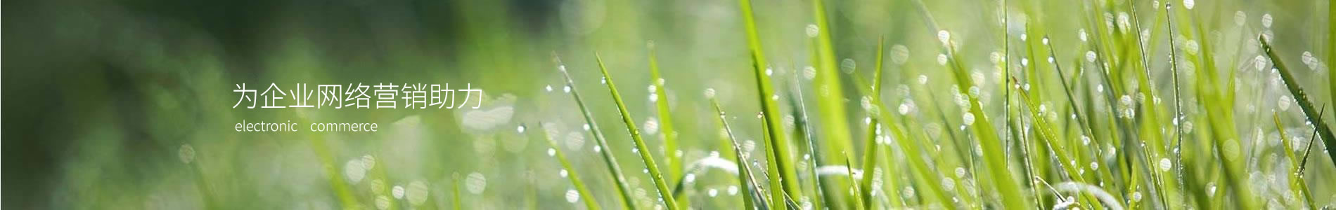 ɶҹι޹˾